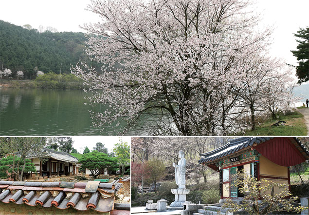익산 심곡사 주변 풍경