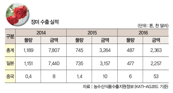 장미 수출 실적