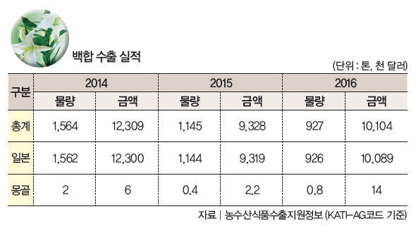 백합 수출 실적