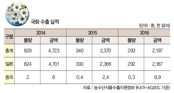국화 수출 실적
