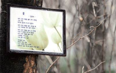 서울 상암동 월드컵공원에 걸려있는 김춘수의 시_ 꽃 