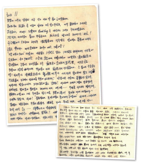 함머니의 연애편지