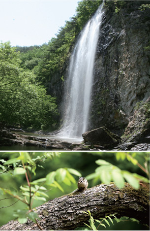 장군폭포와 다람쥐 장군폭포와 다람쥐
