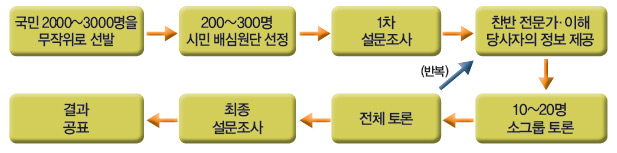 공론조사 과정