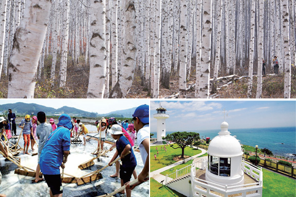 은빛축산 이미지
