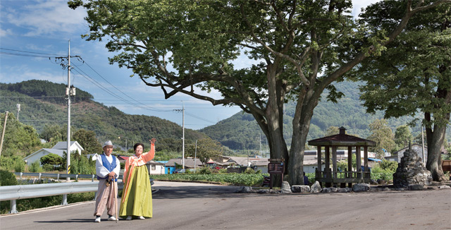 충북 보은군 삼승면 능월리 마을 입구 풍경