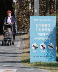 반려견과 함께 서울 한강공원을 찾은 시민