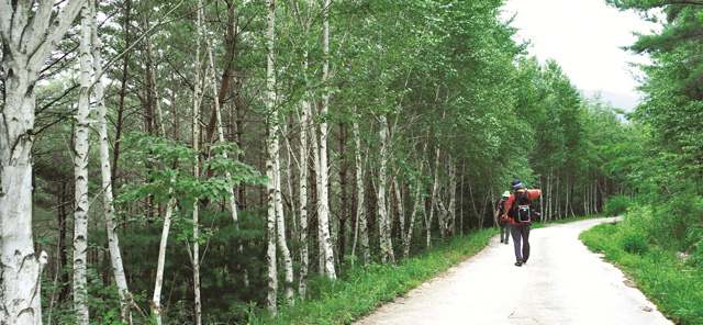 한반도지형마을을 지나 자작나무 쉼터로 들어서면 상쾌한 공기가 폐속 깊숙이 들어온다