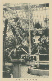 1909년 창경궁 대온실 