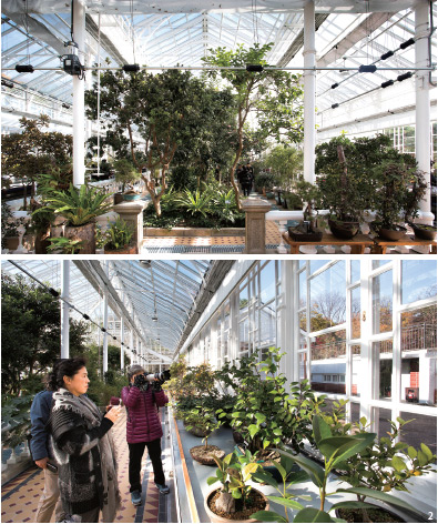 창경궁 대온실에 전시된 식물들