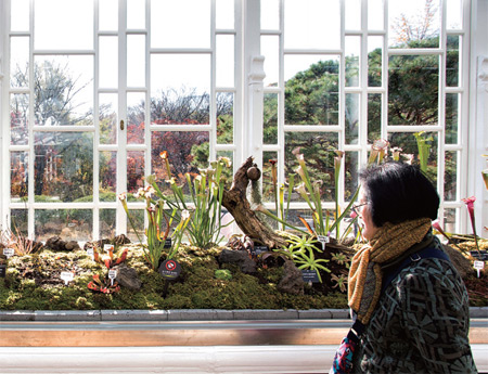 방문객이 전시된 식물을 감상하고 있다