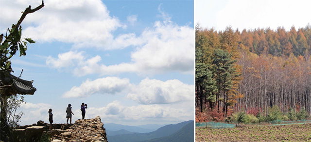 멍에전망대, 안반덕을 지나 대관령으로 가는 숲길
