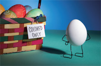 전시_테리보더 먹고, 즐기고, 사랑하라!