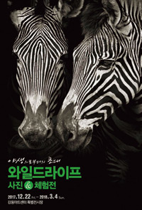 전시_와이드라이프 사진 체험전