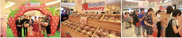 태국에서 열린 ‘I Love K-Strawberry 행사 모습