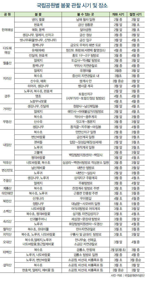 국립공원별 봄꽃 관찰 시기 및 장소