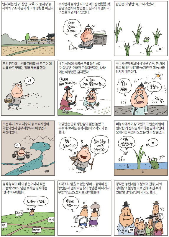 일자리와 못자리2
