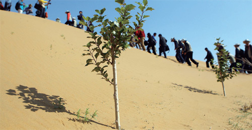 중국 네이멍구 쿠부치사막에서 열린 버드나무 식수 행사 모습
