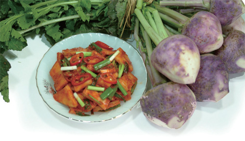 강화도 순무 강화도 순무