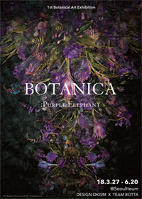 전시_보라코끼리 전