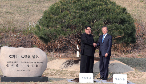 문재인 대통령과 김정은 위원장이 판문점 남측 군사분계선 인근 ‘소떼 길’에 정전협정이 체결된 1953년생 ‘반송’을 심은 뒤 악수하고 있다.