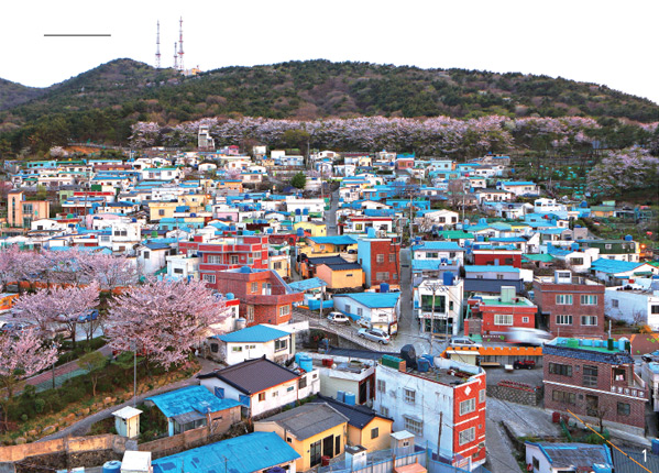 해돋이마을은 봉래산 둘레길 관광객들이 꼭 찾는 명소다. 마을의 전체 전경