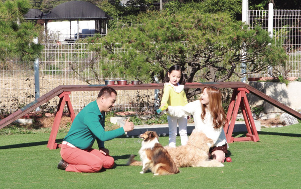 견주와 함께 반려견 교육을 하고 있는 이웅종 소장