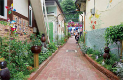 달성토성마을 골목길 달성토성마을 골목길