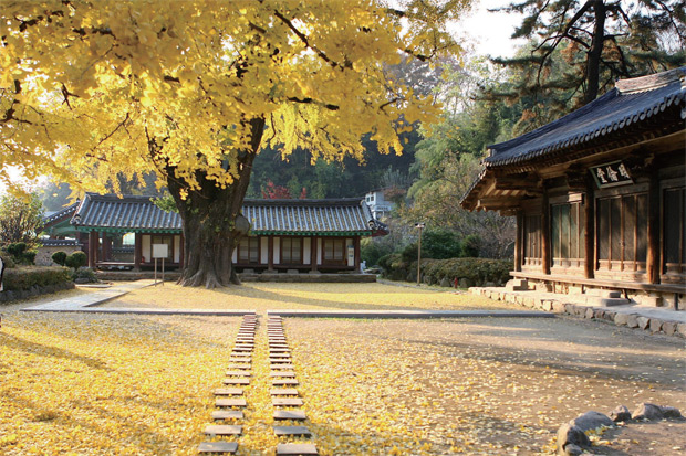 전주 한옥마을