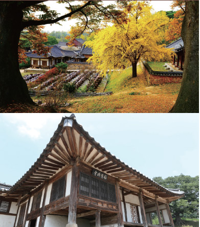 명재고택 명재고택