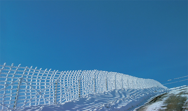 검은 철조망이 하얀 눈꽃으로 피어나 파란 하늘과 마주 닿았다.