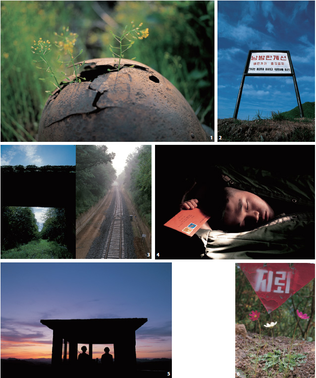 평화의 꽃을 피워주세요.