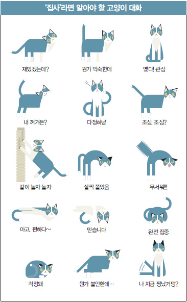 '집사'라면 알아야 할 고양이 대화