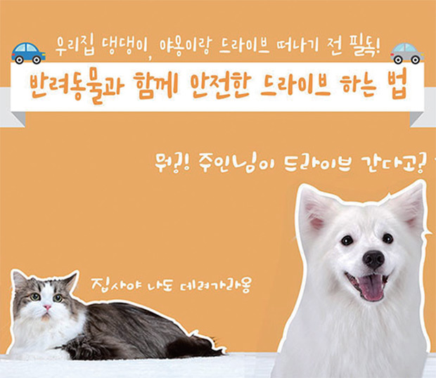 반려동물과 함께 안전한 드라이브 하는 법