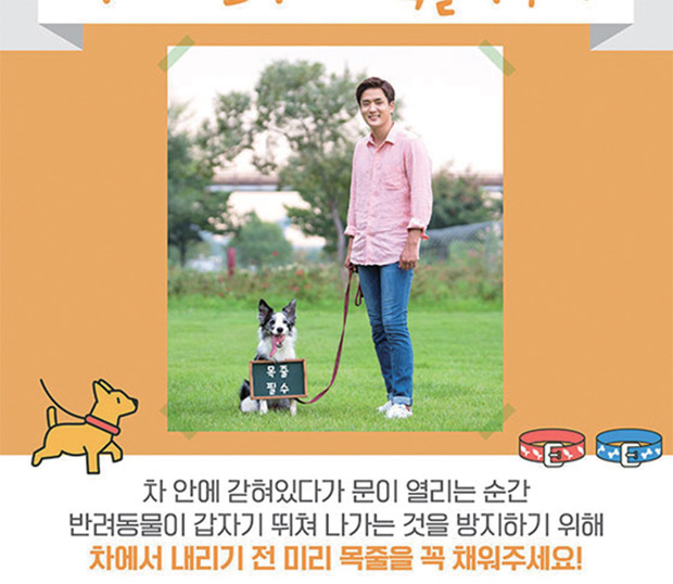 반려동물과 함께 안전한 드라이브 하는 법