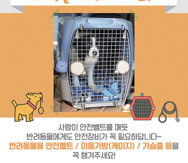반려동물과 함께 안전한 드라이브 하는 법