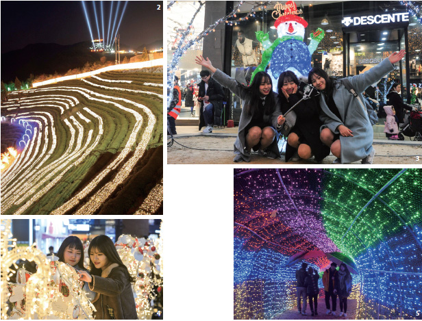 전남 보성군에서 열리는 보성차밭 빛 축제