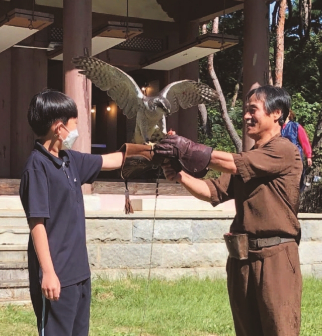 2022년 9월 매사냥 체험 행사에서 응사(오른쪽)가 한 어린이의 왼손 위에 매를 올려 놓고 있다. │ 한국전통매사냥보전회
