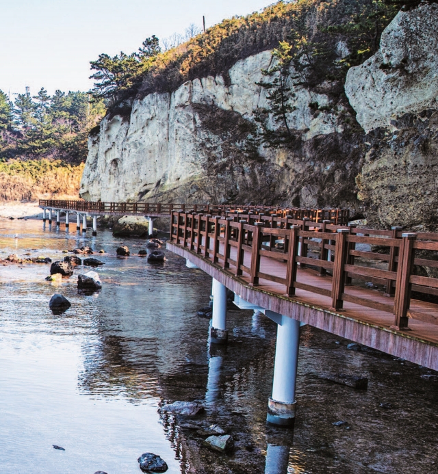 해파랑길 14코스의 해안길