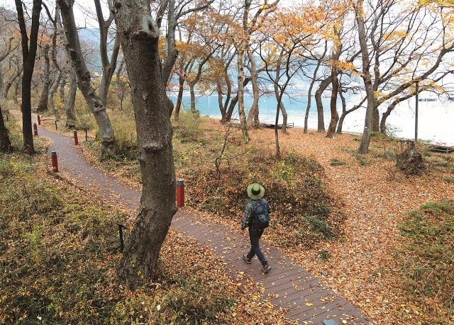 남파랑길 39코스에서 만난 운치 있는 숲길. &lsquo;물건방조어부림&rsquo;