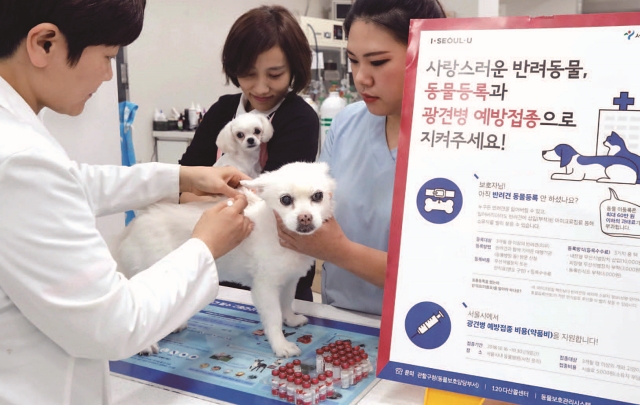 서울 송파구 한 동물병원에서 광견병 예방접종이 이뤄지고 있다. 2023년 개정된 수의사법에 따라 동물병원 진료비용 사전고시가 의무화된다. 사진 뉴시스