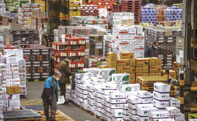 정부가 설을 앞두고 역대 최대 규모인 20만 8000톤의 성수품을 공급한다. 1월 11일 서울 송파구 가락농수산물 종합도매시장에서 관계자들이 선물·제수용 과일과 채소 상자를 옮기고 있다. 사진 뉴시스