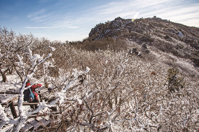 덕유산은 겨울의 나무서리를 뜻하는 상고대의 환상적인 풍경과 아름다운 눈꽃을 보여준다. 사진 C영상미디어