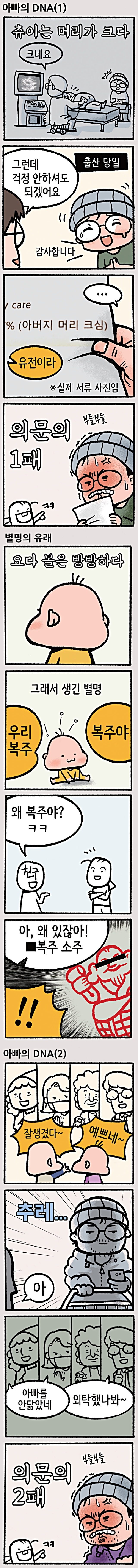 쌍둥이의 얼굴