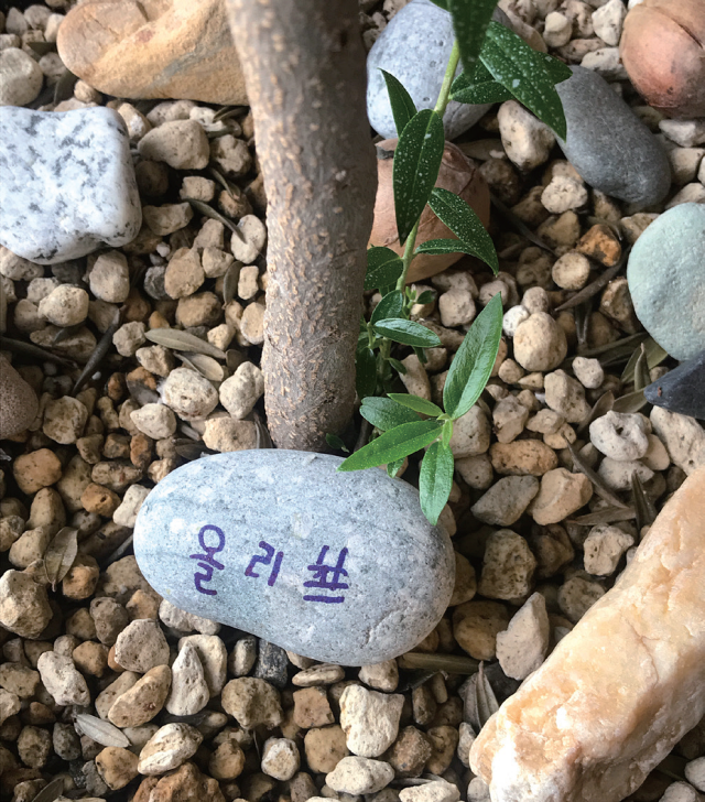 이수민
