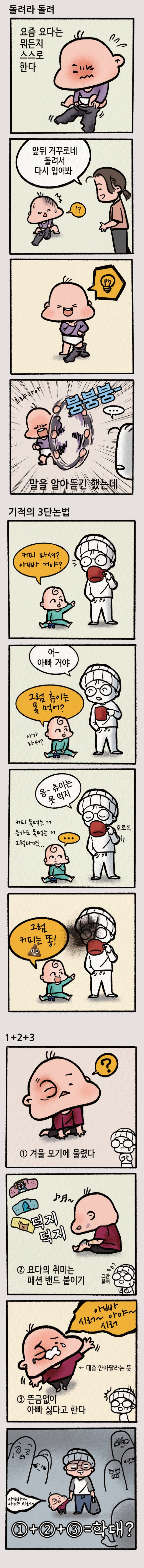 쌍둥이의 오해