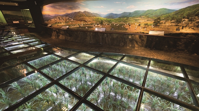 1층 농업역사관에서는 한반도 농업발달사를 시대별로 자세히 볼 수 있다. 사진 C영상미디어