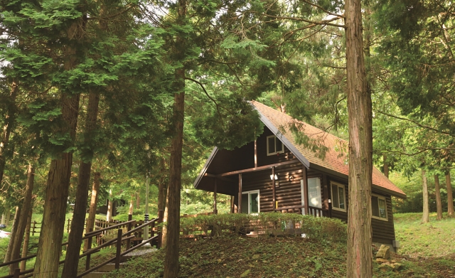 통나무집 외형을 한 숲속의 집.