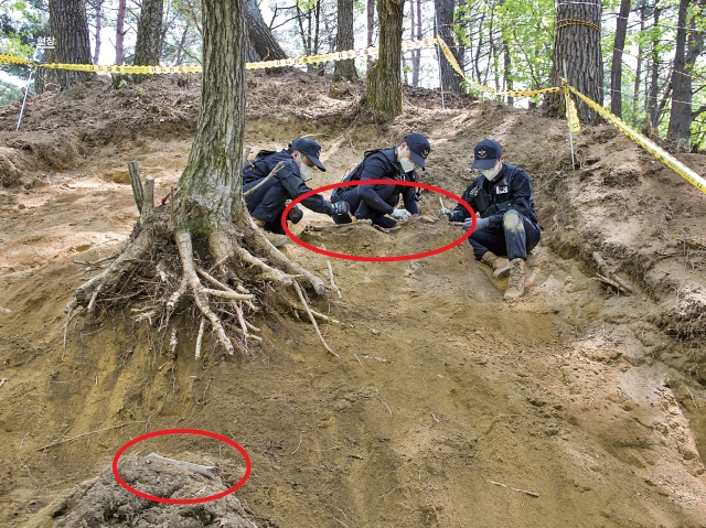 국방부유해발굴감식단 장병들이 허벅지뼈(왼쪽 아래)를 최초 발견한 후 경사면을 확장 발굴해 추가 유해를 발견했다. 사진 C영상미디어