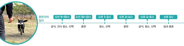 훈련견의 일과